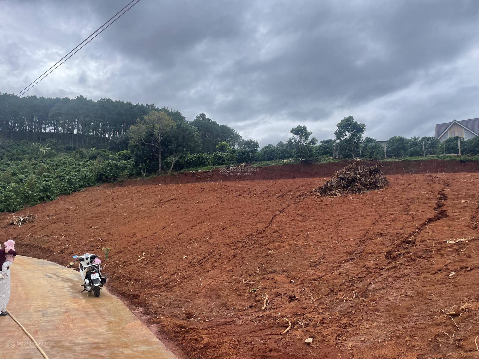 Bất động sản ven Đà Lạt đầu tư nghỉ dưỡng