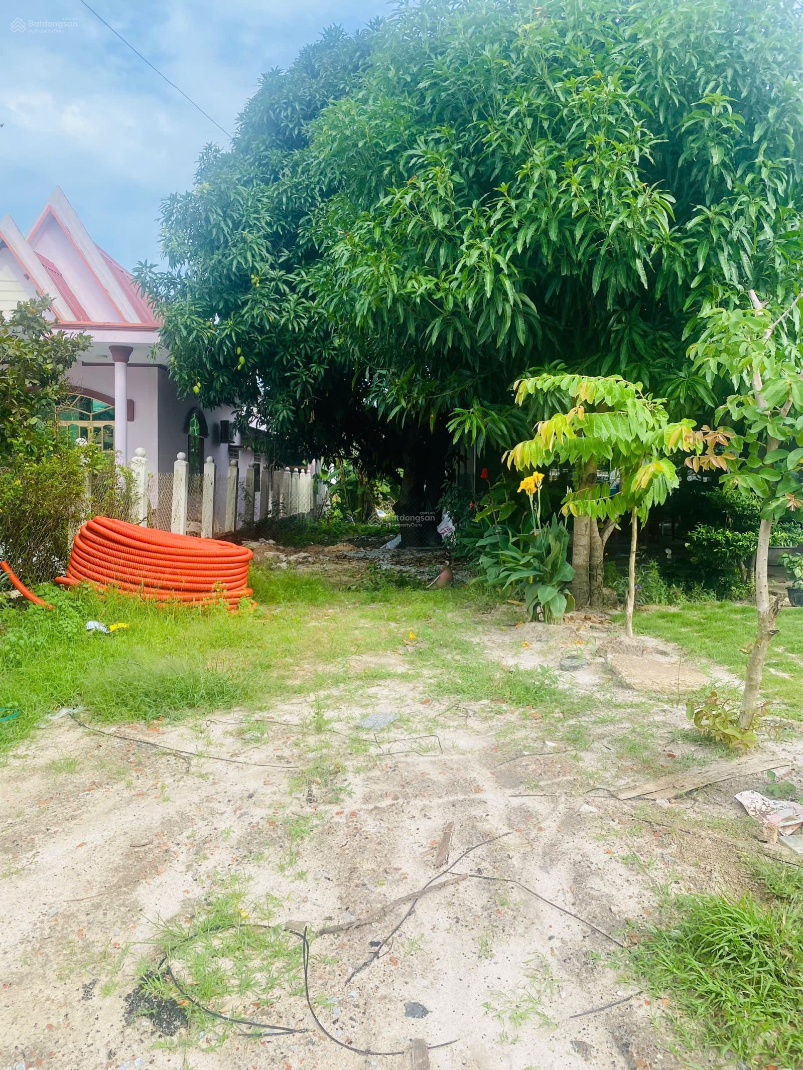 5x47(263m2) Nguyễn Văn Tỗi Trung Tâm LaGi Kinh Doanh Đa Ngành Nghề