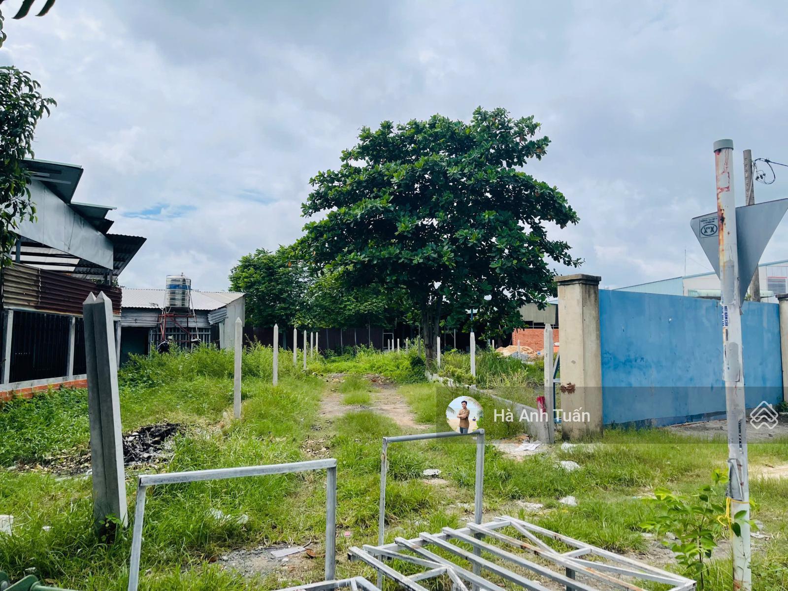 Cần ra 258,8 m2 đất thổ cư mặt tiền đường nhựa, sổ hồng riêng giá 810 triệu xây dựng tự do.