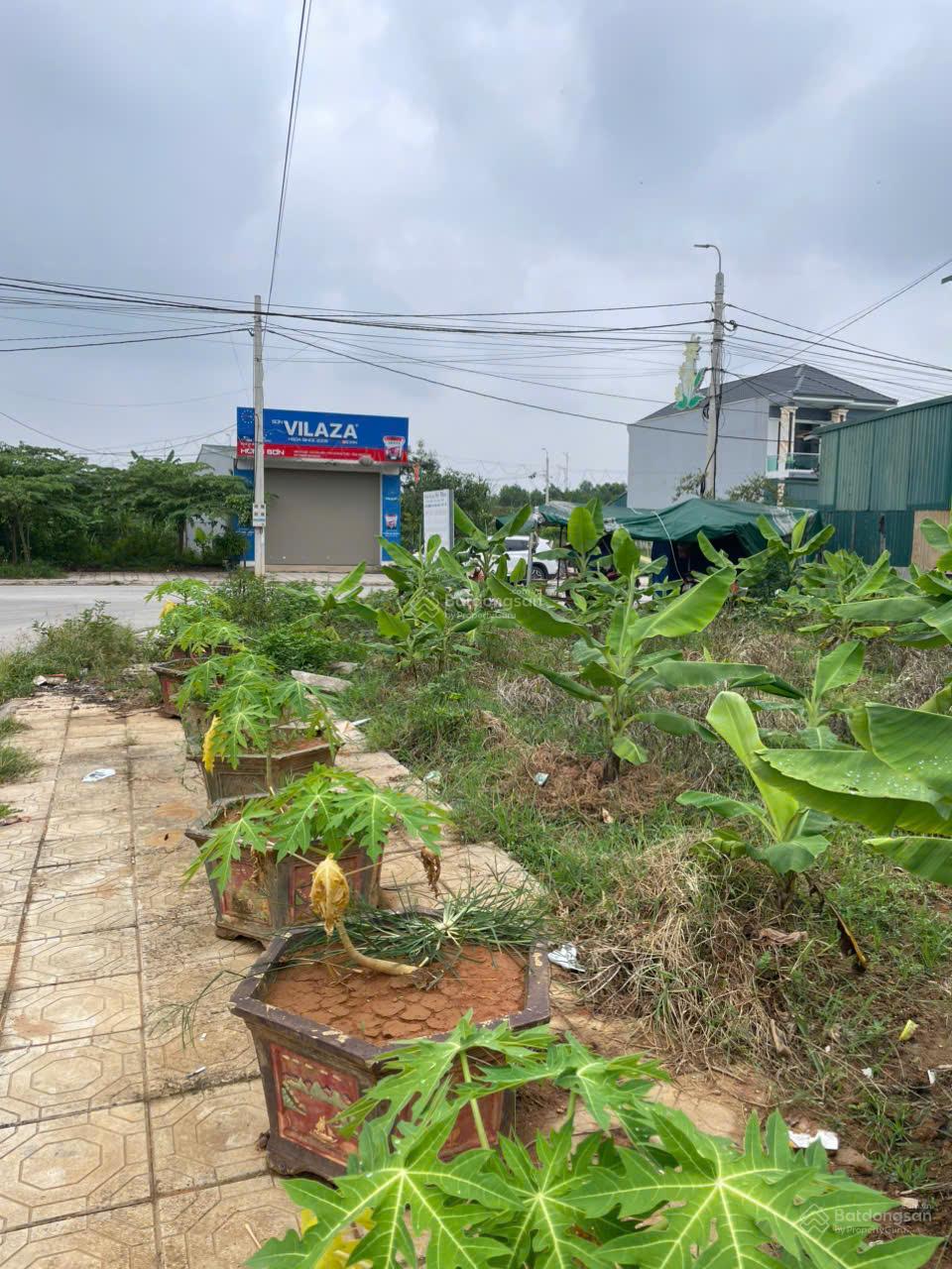Bán Đất Lô Góc Khu Tái Định Cư Bờ Siu Hà Lộc, Thị Xã Phú Thọ, Bên Cạnh Khu CN Phú Hà, 300m2