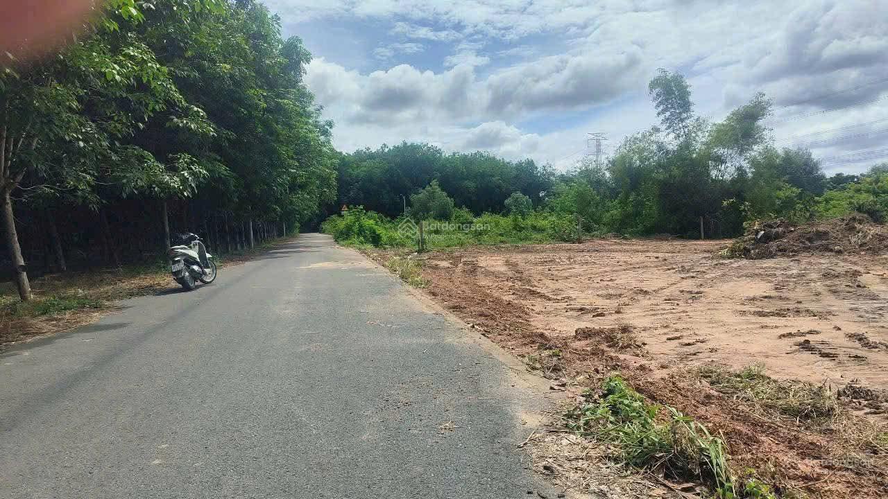 Bán lô đất Phường Phú An đường nhựa 6m thông nằm sát DH609 vị trí đẹp giá rẻ cho khách đầu tư
