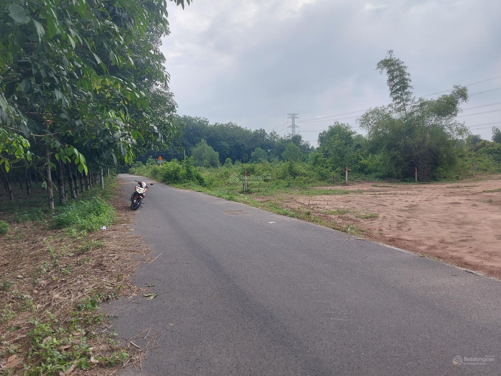 Bán lô đất Phường Phú An đường nhựa 6m thông nằm sát DH609 vị trí đẹp giá rẻ cho khách đầu tư