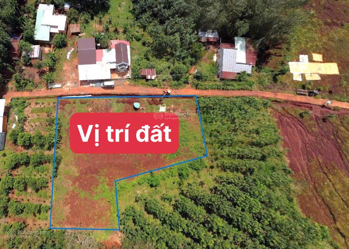Chính Chủ Bán 2 Sổ (10x50=510m2) 200TC SHR Ngay Khu Du Lịch Thác Số 4 Hớn Quản Đồng Nai 275 Triệu