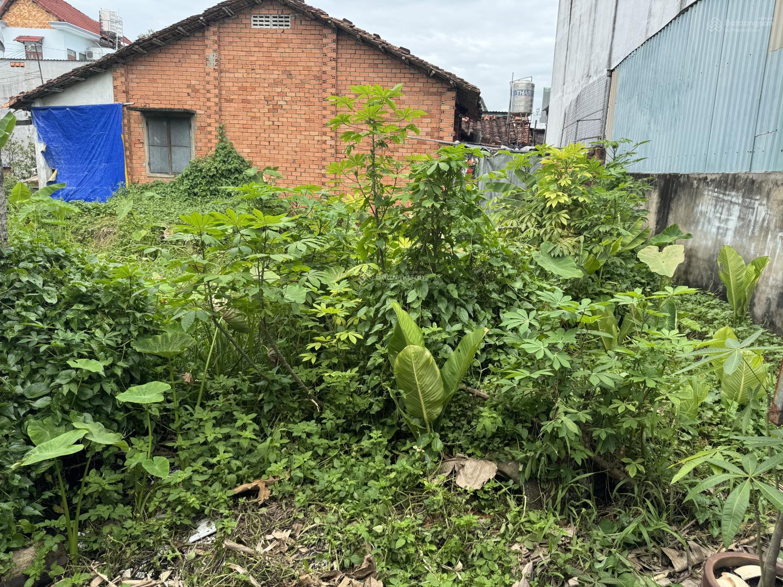 Bán đất ở Lộc Ninh, Dương Minh Châu, Tây Ninh 320 triệu, 200m2 uy tín