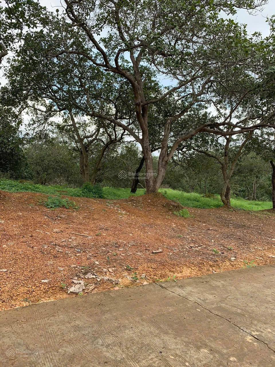 Bán đất view đẹp tại Phú Trung, Phú Riềng - 7,6 tỷ, 19500 m2