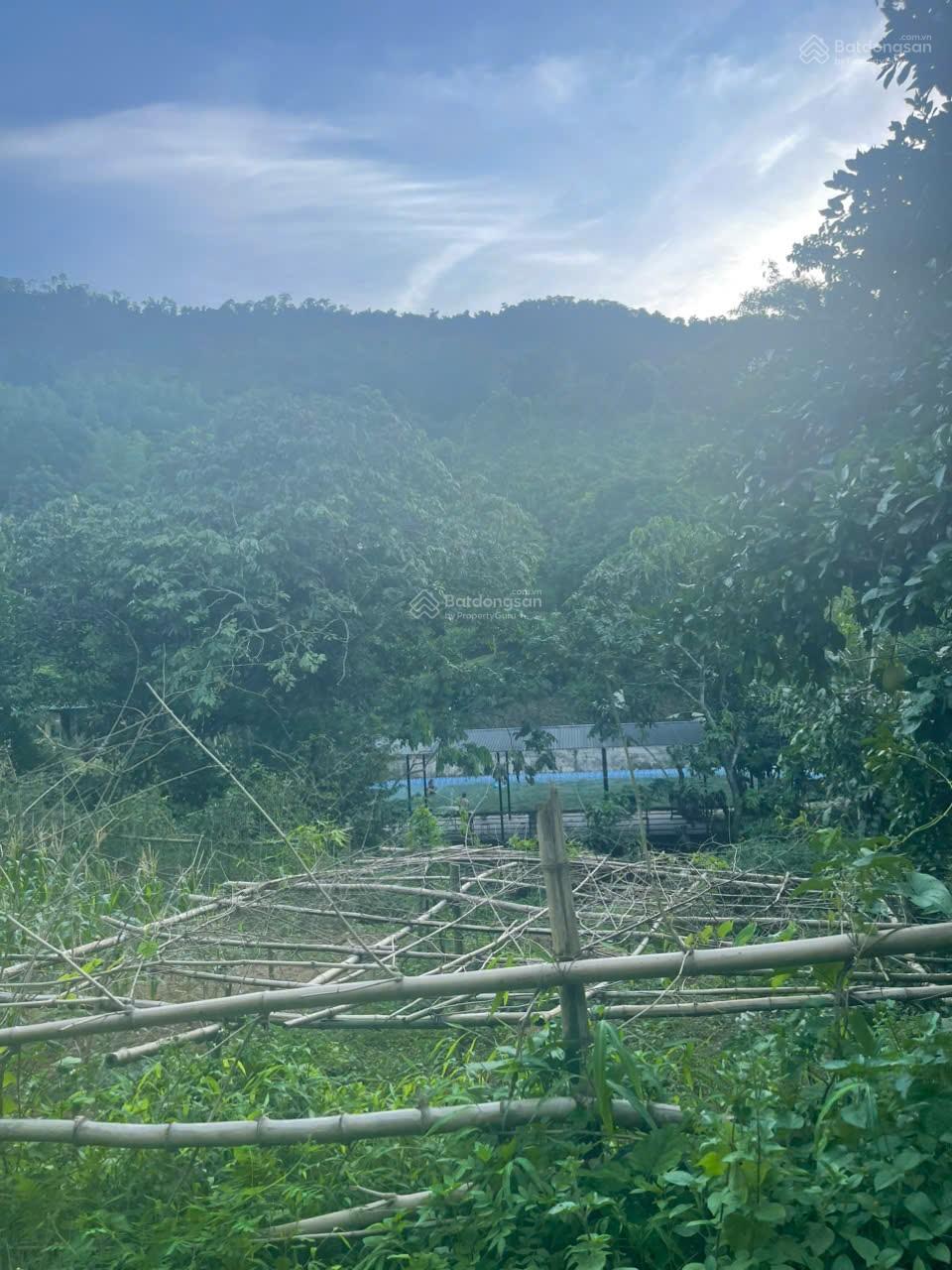 BÁN LÔ ĐẤT SIÊU ĐẸP 5.605M TẠI ĐỒNG BỒ ĐÔNG XUÂN Giá chỉ từ 2,800triệu/m Đã có sổ đỏ sẵn