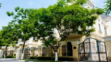 XÓT LẠI BIỆT THỰ CÓ RỘNG 133M2 GIÁ CHỈ TỪ 229TR/M2 NHẬN Ở NGAY, CAO 3 TẦNG RƯỠI, KÝ TRỰC TIẾP CĐT