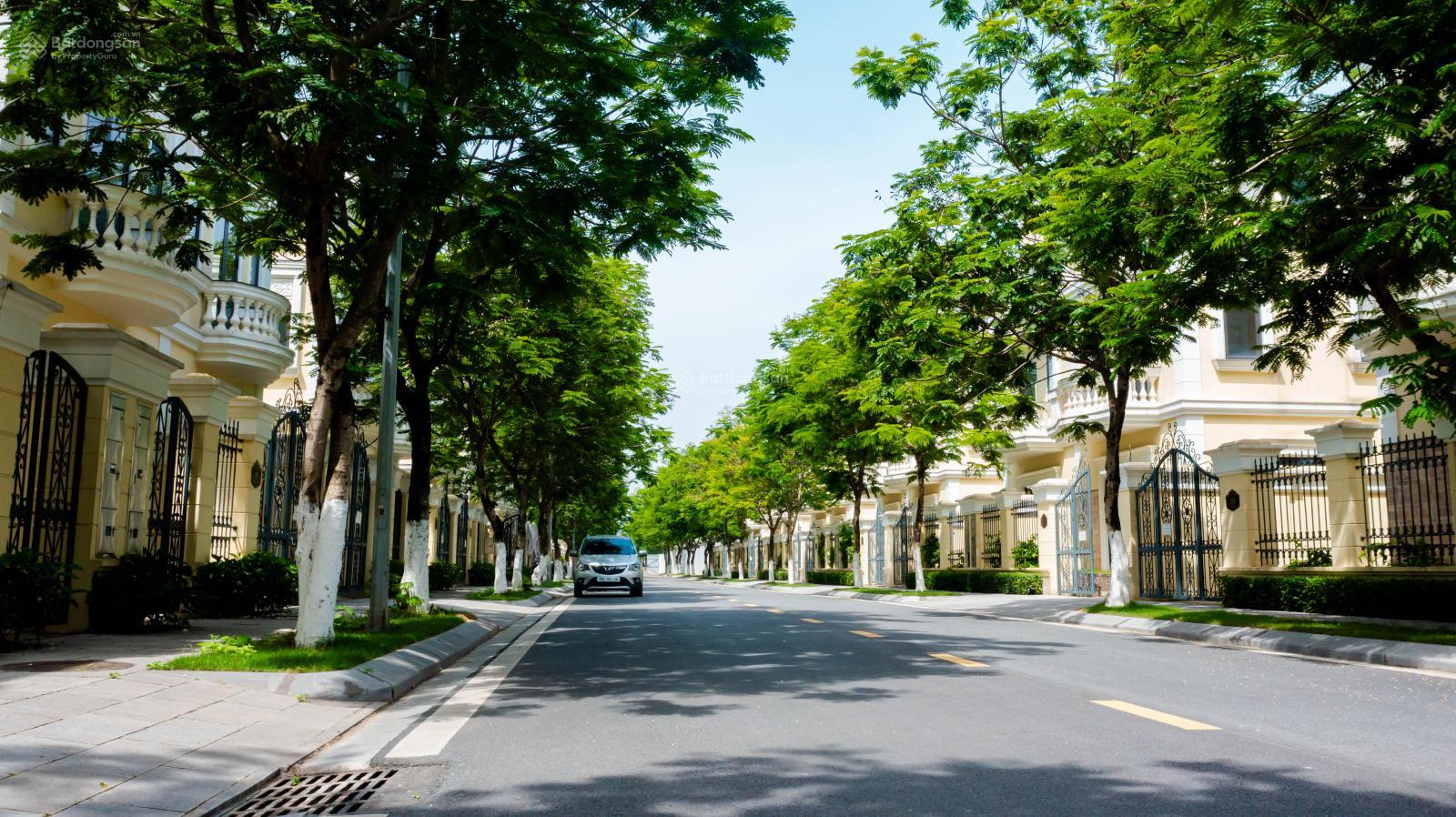 XÓT LẠI BIỆT THỰ CÓ RỘNG 133M2 GIÁ CHỈ TỪ 229TR/M2 NHẬN Ở NGAY, CAO 3 TẦNG RƯỠI, KÝ TRỰC TIẾP CĐT