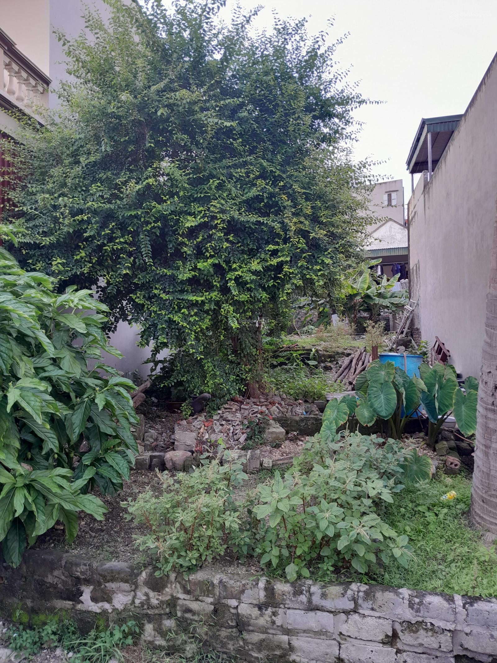 Bán đất ngõ phường Hùng Thắng, 15,5 triệu / m2, 141 m2, sổ đỏ giá cực tốt