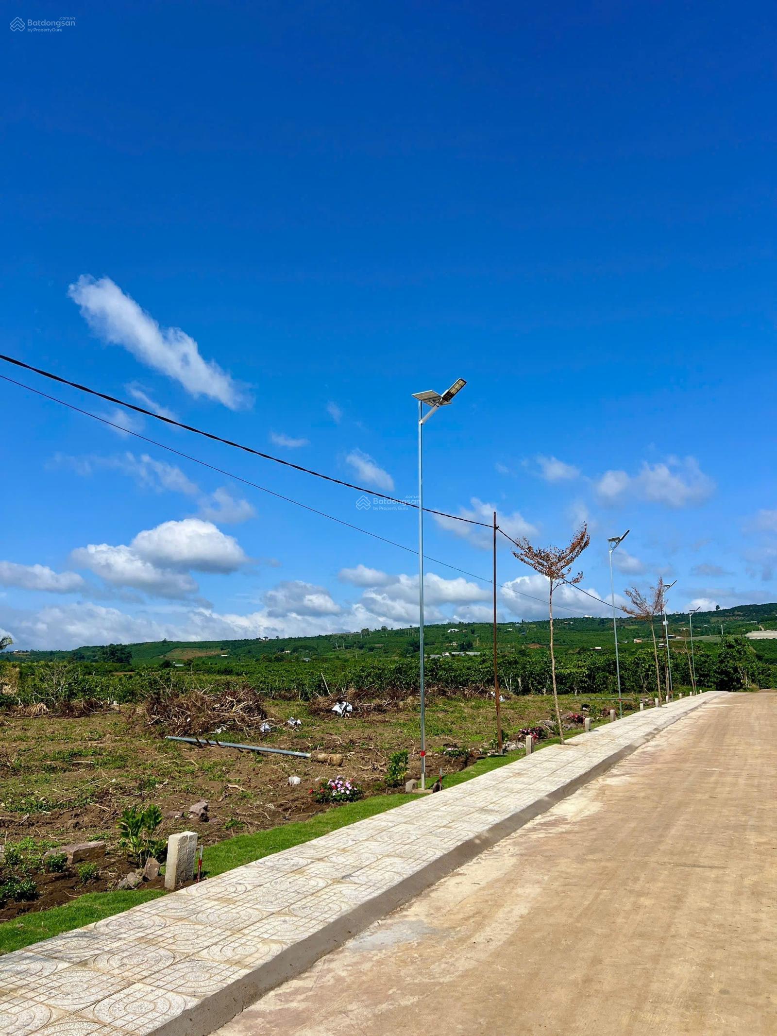 Đất đẹp như thế này chỉ với 390 triệu, sở hữu ngay lô đất đẹp như hình ạ