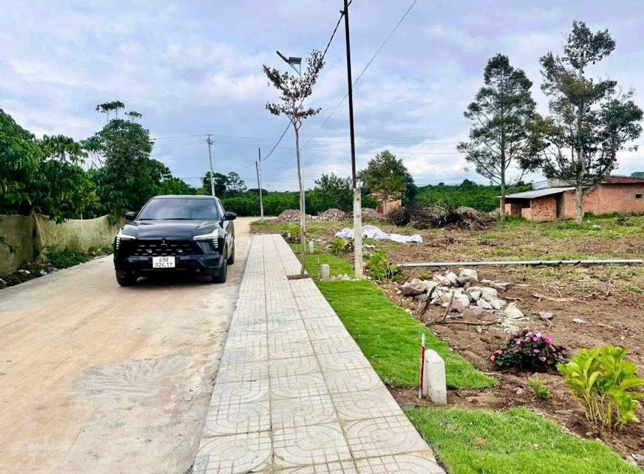 Đất đẹp như thế này chỉ với 390 triệu, sở hữu ngay lô đất đẹp như hình ạ