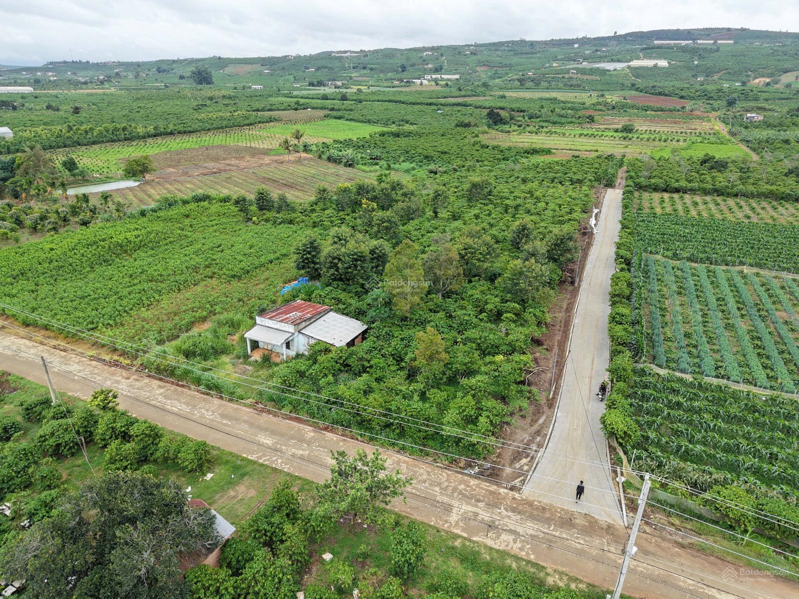 AN CƯ LÝ TƯỞNG ĐẦU TƯ SINH LỜI TẠI ĐINH VĂN, LÂM HÀ KHÍ HẬU MÁT MẺ QUANH NĂM