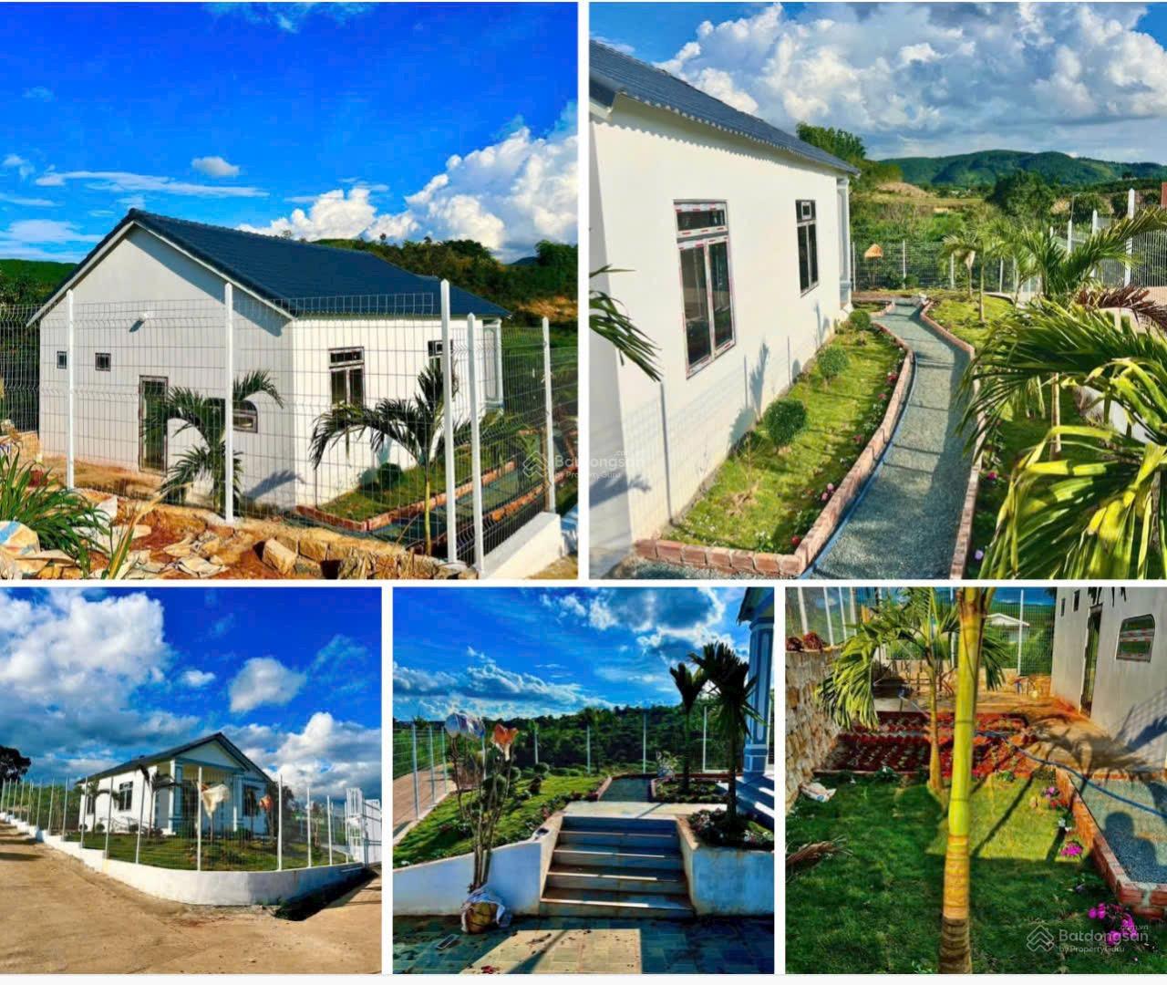 Nhà vườn 2 mặt tiền ven Đà Lạt view đồi thông cực đẹp, chỉ 2 tỷ 300 triệu