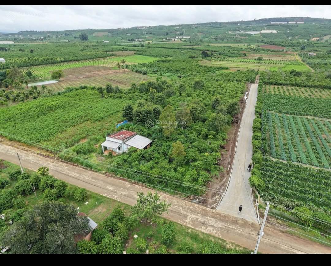 Đất ven Đà Lạt giá tốt để đầu tư chỉ 430tr cho 200m2, đất sẵn thổ cư