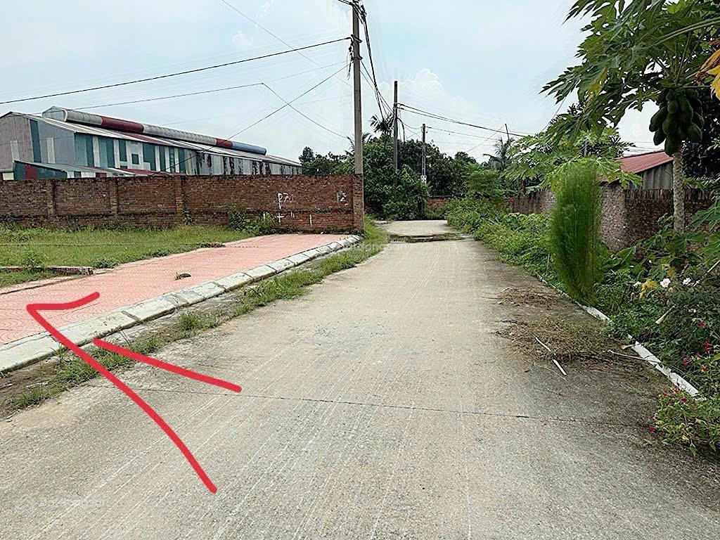 Đất đẹp Xuân Đồng Tân Minh 80m2 full thổ 1,9 tỷ