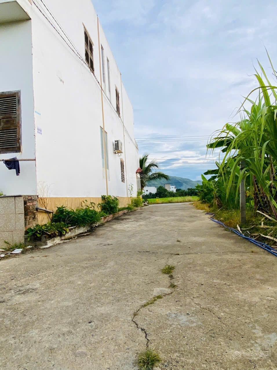 Bán 2 lô đất Đường Thông Tin, Diên An, Diên Khánh, giá tốt 16.5 triệu/1m2 full thổ 109m2 và 117m2. Bán 2 lô đất Đường Thông Tin, Diên An, Diên Khánh, giá tốt 16.5 triệu/1m2 full thổ 109m2 và 117m2.