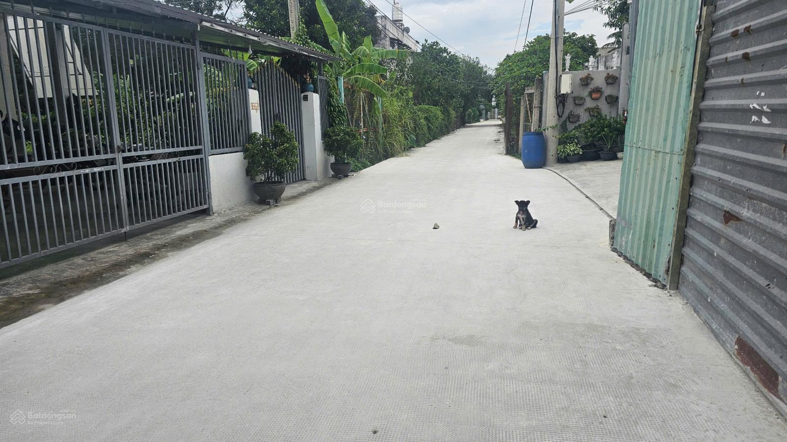 10x25m, mặt tiền An thạnh 38, giá bán chỉ 3 tỷ 650tr 10x25m, mặt tiền An thạnh 38, giá bán chỉ 3 tỷ 650tr