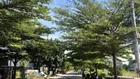Bán đất nền 112.5m2, 4,550 tỷ tại Vũ Văn Cẩn, Hòa Hải, Ngũ Hành Sơn, Đà Nẵng chính chủ