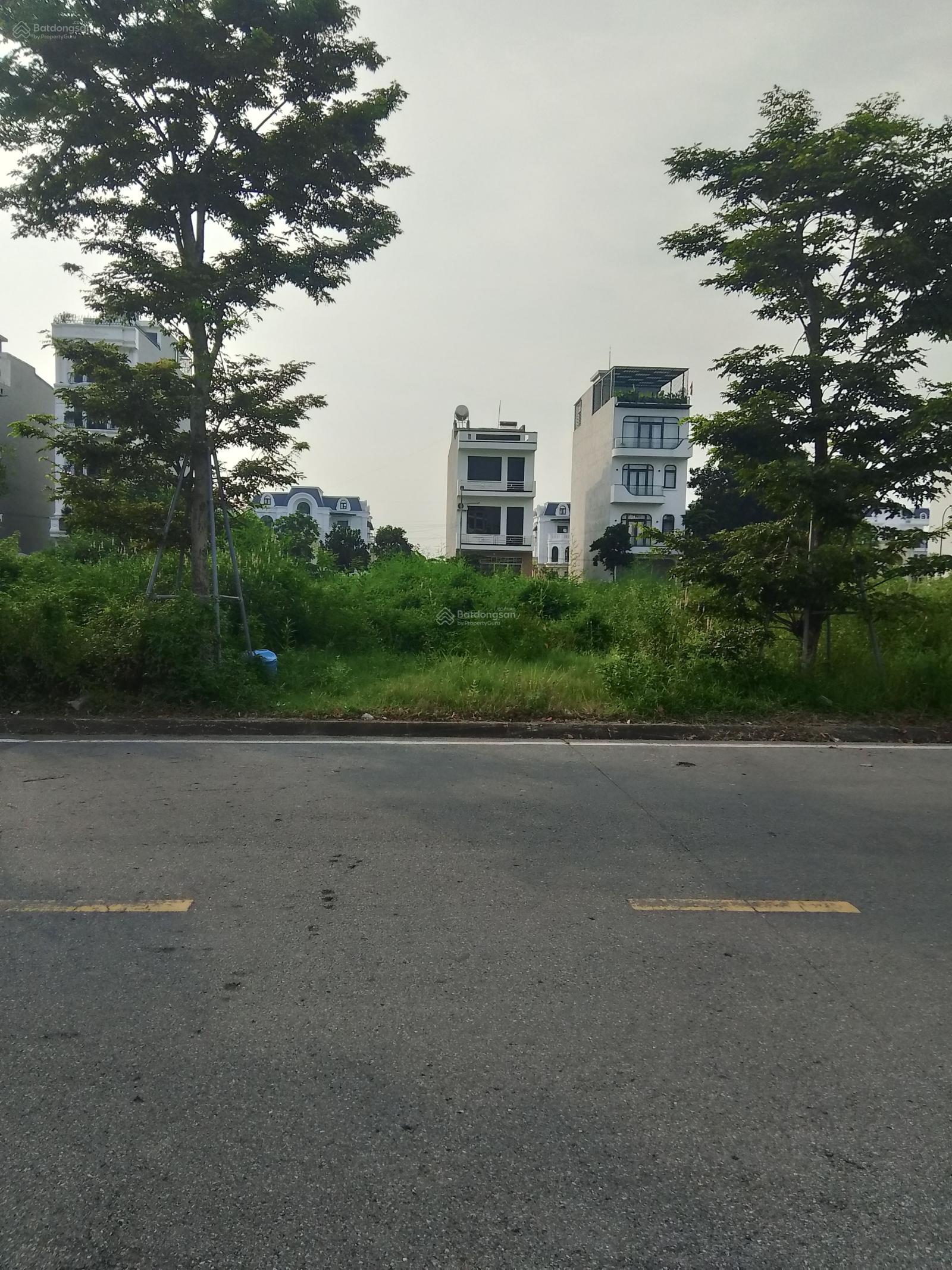 Bán đất Big C KĐT phía Nam TP Bắc Giang trục đường đôi lê Duẩn ngay ngã 4 giao thương Bán đất Big C KĐT phía Nam TP Bắc Giang trục đường đôi lê Duẩn ngay ngã 4 giao thương