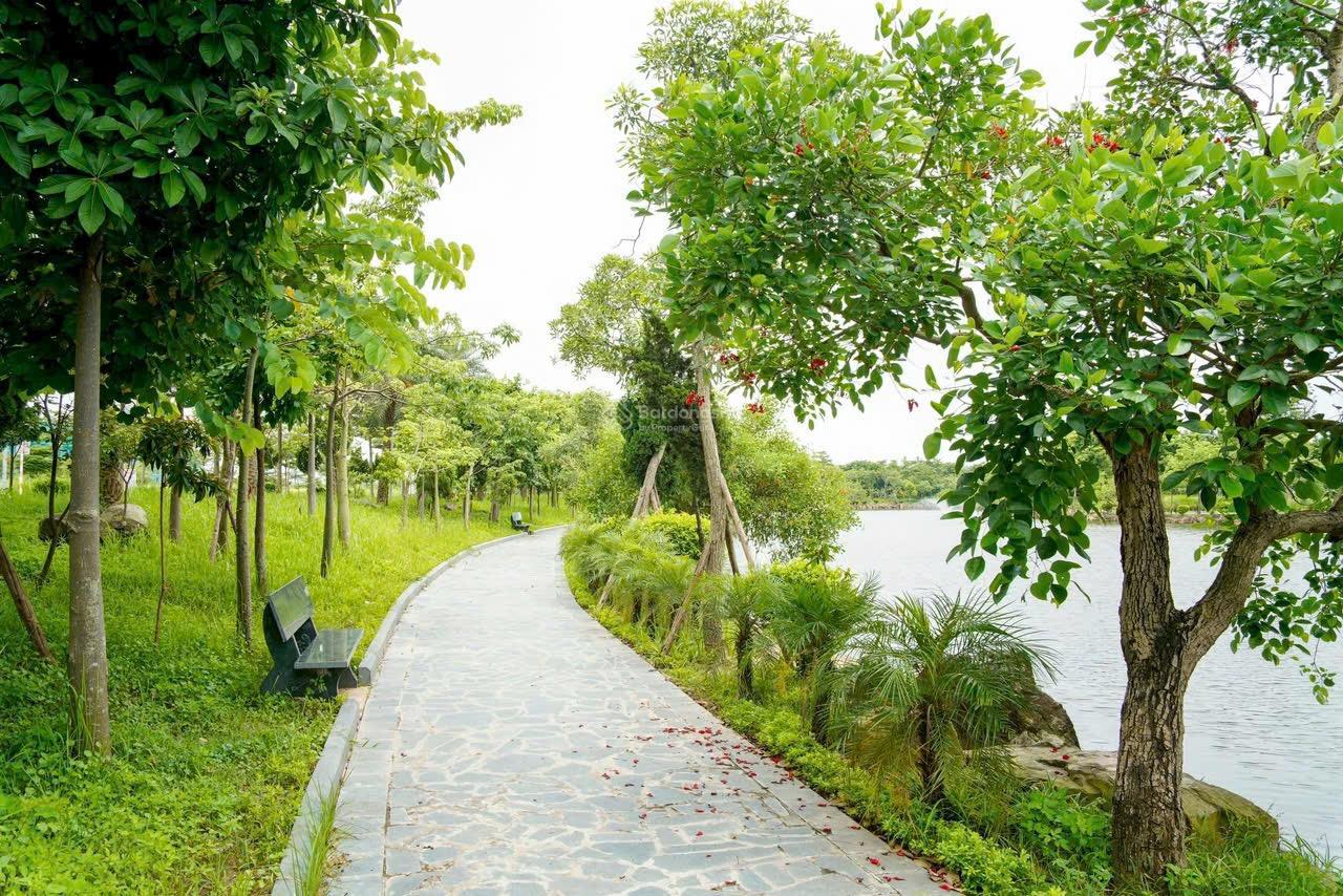 Chính chủ ra hàng Vài lô Vườn Hồng Nam Hồng - Đồng Nguyên Bắc Ninh cách Đại học Luật 800m