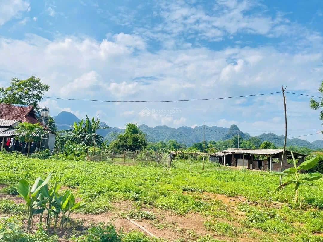 Tôi bán lô đất thổ cư vuông vắn, giá đầu tư đường bê tông rộng Cao dương, lương sơn, hòa bình