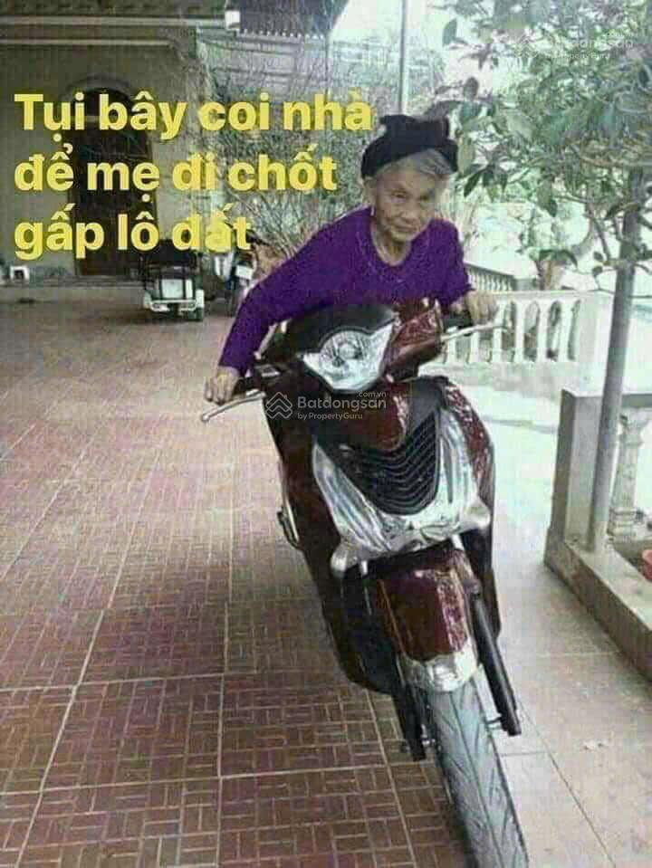 CẦN BÁN ĐẤT THẠCH BÀN LONG BIÊN HÀ NỘI.