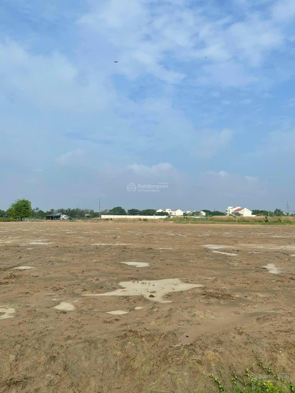 Chính chủ ngộp sâu cần bán gấp mảnh dất dưới bình khánh