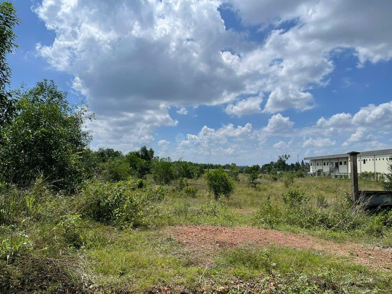 2000m2. Sổ riêng quy hoạch SKC. Thuộc cụm công nghiệp Biên Hòa. Đường xe Công. Gần các KCN lớn
