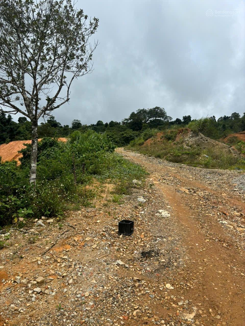 Bán đất tại Thị trấn Măng Đen, 1,7 tỷ, 3200m2 siêu hot