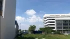 Ngân hàng phát mãi lo đất ngay Tâm Kim Cần Giuộc