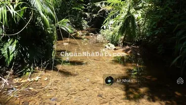 Bán Nhanh Đất Vườn Nghỉ Dưỡng Gần Hồ Trị An Cách QL20 Chỉ Ít Phút 850 Triệu Trọn Sổ
