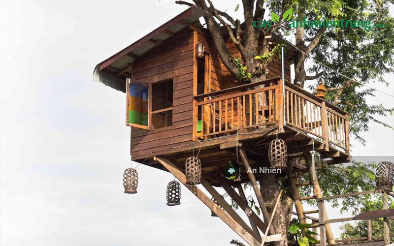 Bán Nhanh Đất Vườn Nghỉ Dưỡng Gần Hồ Trị An Cách QL20 Chỉ Ít Phút 850 Triệu Trọn Sổ
