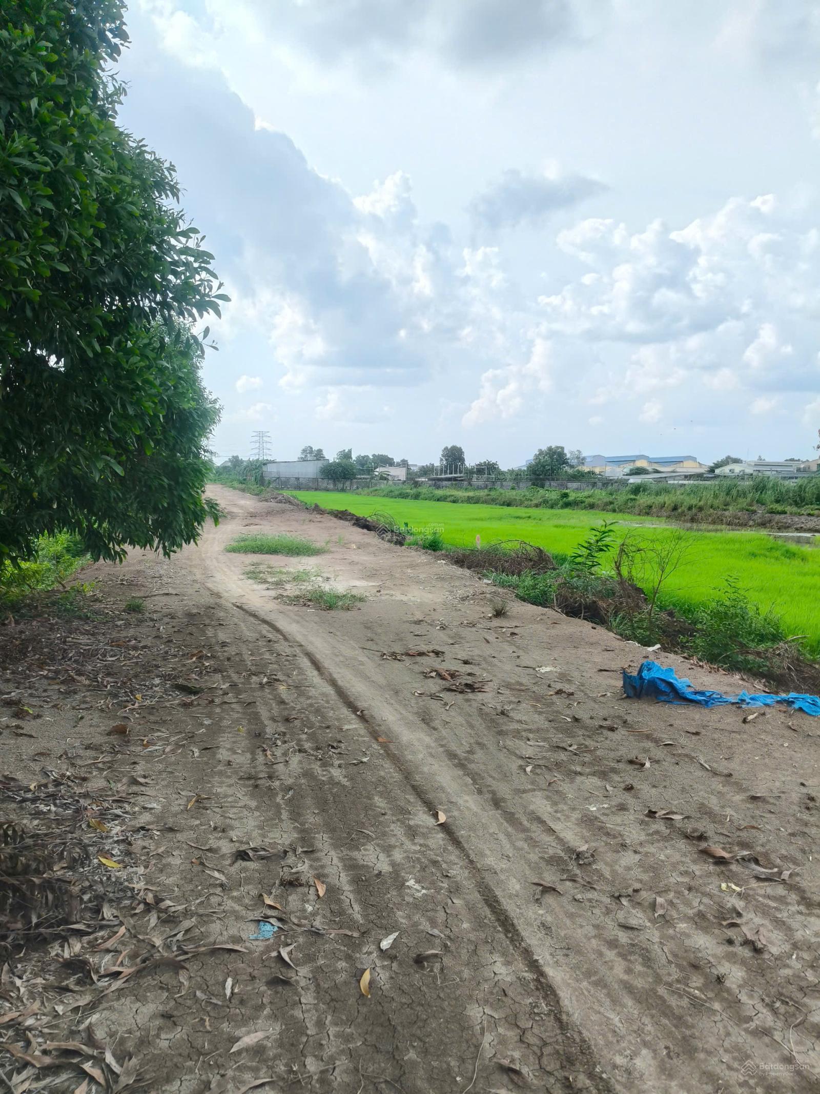 Bán Đất Vườn MT Kênh Láng The, Tân Thạnh Đông, Củ Chi, 3763m², 2.1 Triệu/m², Thích Hợp Làm Nhà Vườn