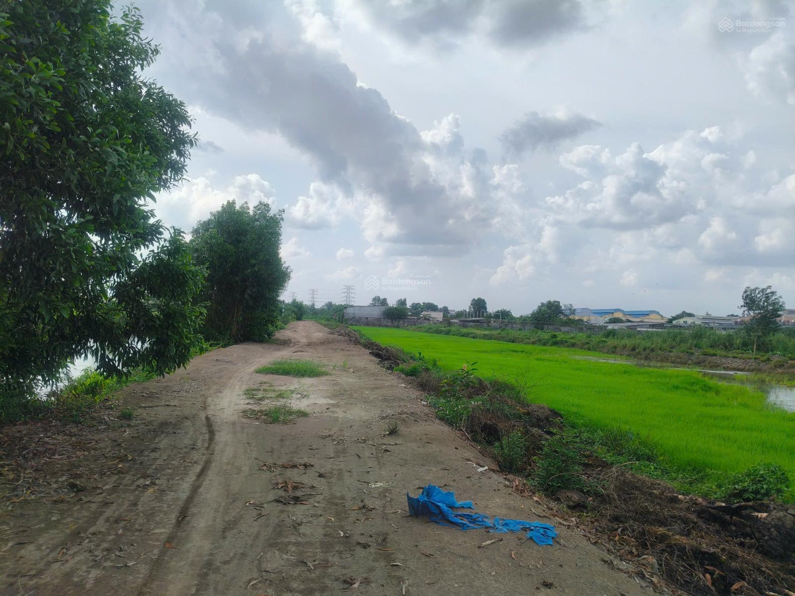 Bán Đất Vườn MT Kênh Láng The, Tân Thạnh Đông, Củ Chi, 3763m², 2.1 Triệu/m², Thích Hợp Làm Nhà Vườn