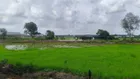 Bán Đất Vườn MT Kênh Láng The, Tân Thạnh Đông, Củ Chi, 3763m², 2.1 Triệu/m², Thích Hợp Làm Nhà Vườn