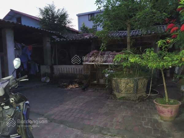 Đất Bắc Hồng (cũ), Phúc Thịnh, Hà Nội, 362m2, Mt10.5m, 15 tỷ, ô tô 5 chỗ.