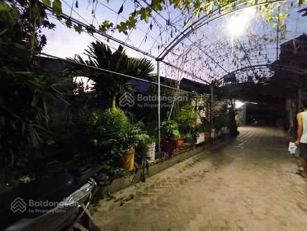 Đất Bắc Hồng (cũ), Phúc Thịnh, Hà Nội, 362m2, Mt10.5m, 15 tỷ, ô tô 5 chỗ.