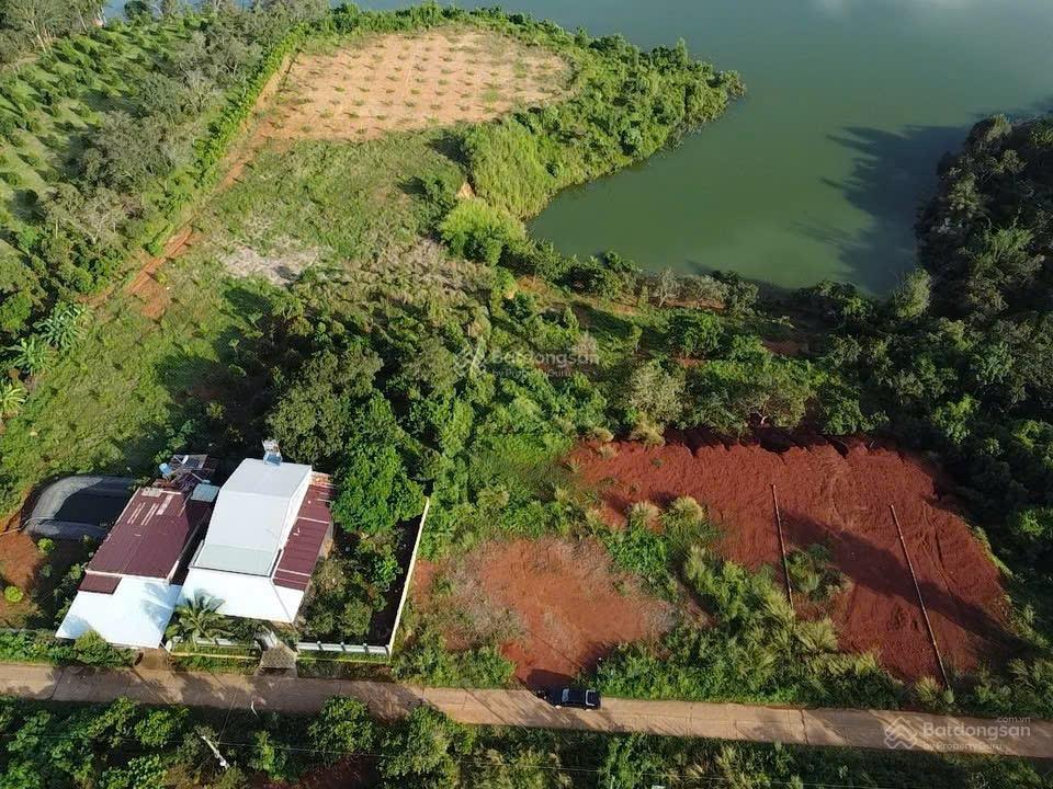 Bán đất Quốc lộ 14C, 270 triệu, 300m2 siêu rẻ ở Bù Đăng, Bình Phước
