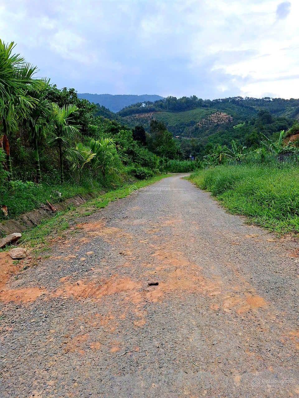 Đất có mặt tiền dài 150m, đường nhựa liên thôn, view đẹp, không khí mát, giá rẻ