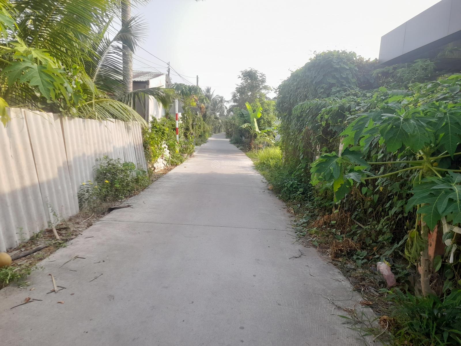 Bán 900m2 đất ngay cổng Lộ ngang KCN Giao Long Bán 900m2 đất ngay cổng Lộ ngang KCN Giao Long