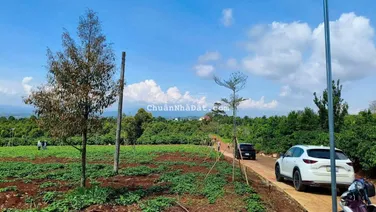 Đất ngộp bán gấp 9m mặt tiền 599tr không thương lượng