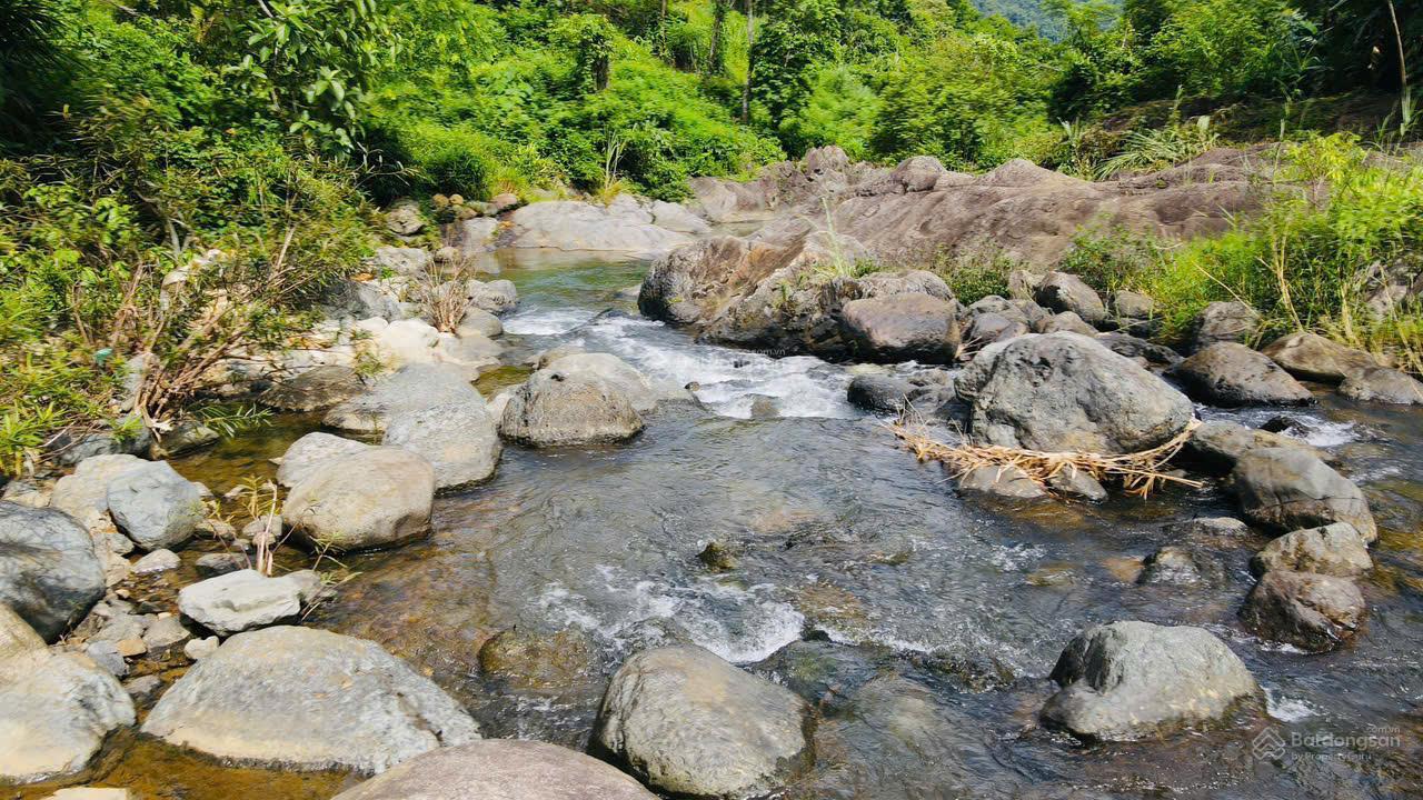 Siêu phẩm có 102 tại Kim Bôi, Hòa Bình bám suối, view cánh đồng ruộng đẹp nhất. Giá chỉ 1.2 tỷ