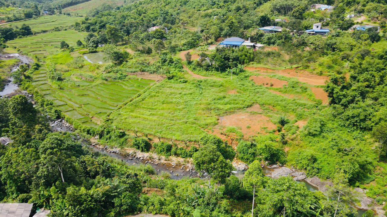 Siêu phẩm có 102 tại Kim Bôi, Hòa Bình bám suối, view cánh đồng ruộng đẹp nhất. Giá chỉ 1.2 tỷ