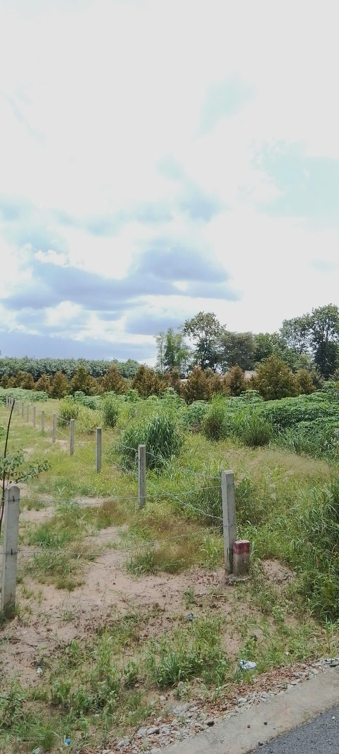 Bán lô đất mặt tiền đường nhựa lớn xe tải ra vào thoải mái xã Minh Hoà, huyện Dầu Tiếng