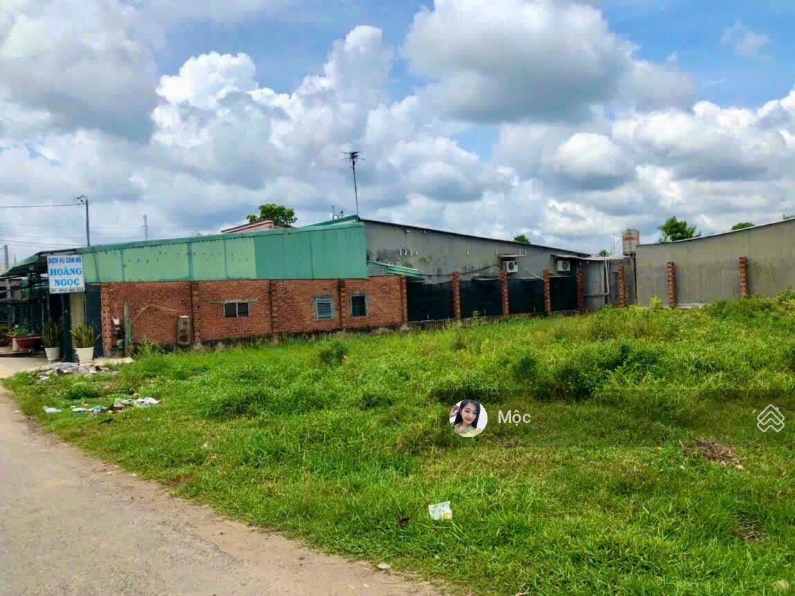 2 MT nhựa lưu thông xe tải - quá hời cho việc đầu tư nhà xưởng, nhà vườn trên 500m2 có thổ cư