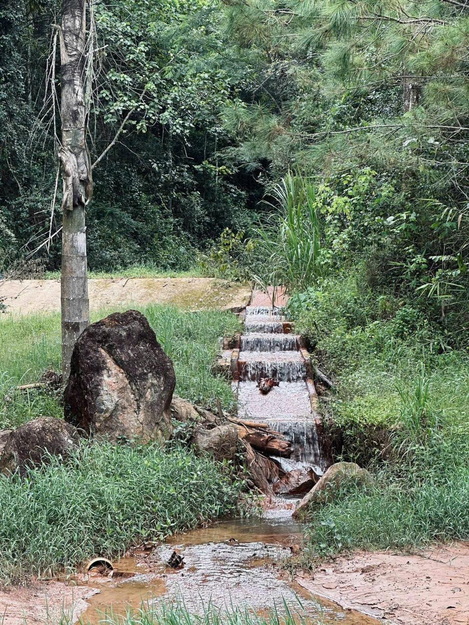 Bán đất tặng căn biệt thự 300m2 tổng diện tích đất 20.000m2 (2 hecta) phường Xuân Hương - Đà Lạt