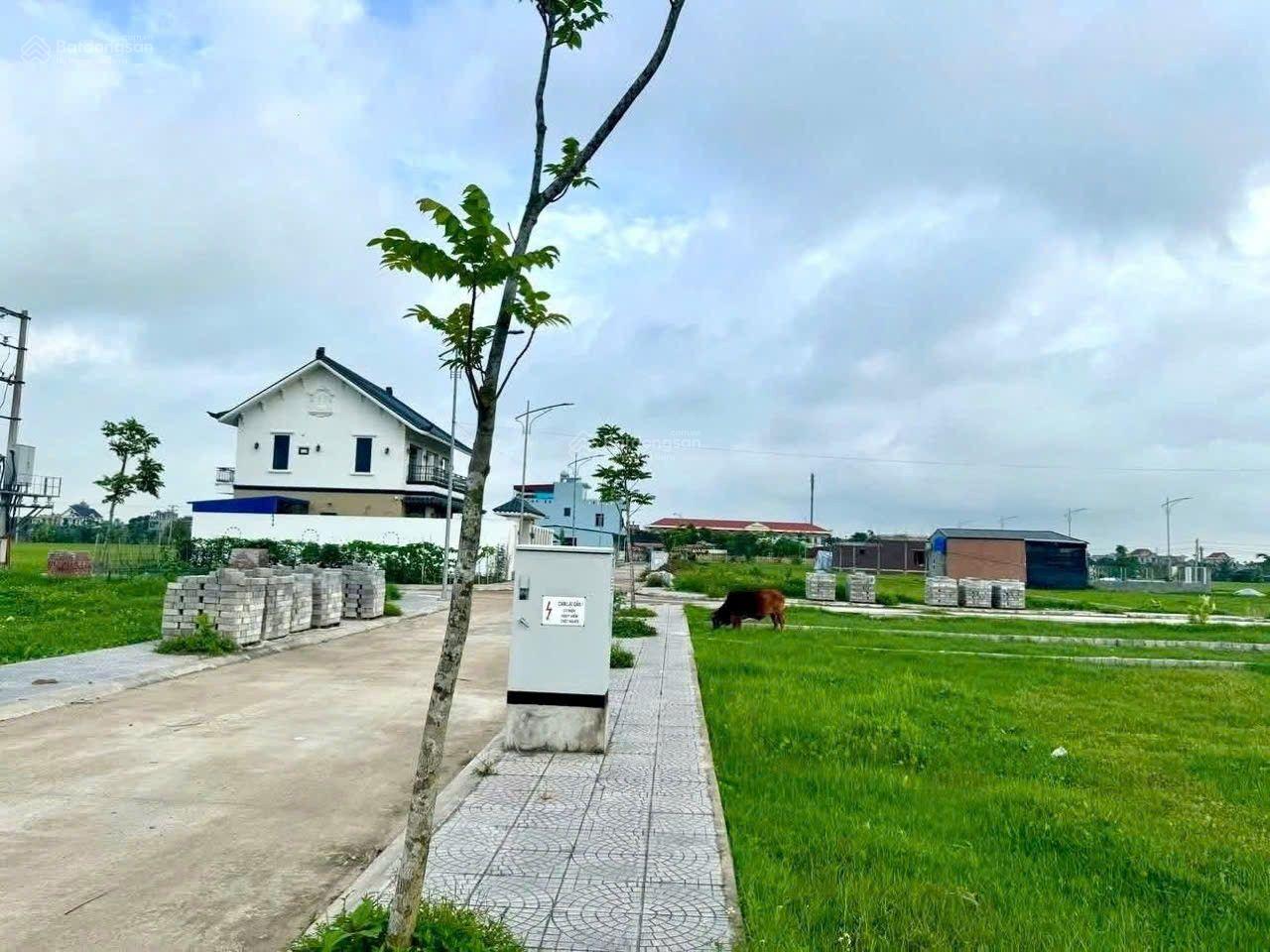Bán Đất tại Xã Thụy Dương, 1,25 tỷ, 100m2, mặt tiền 5m, ngõ rộng 10m Bán Đất tại Xã Thụy Dương, 1,25 tỷ, 100m2, mặt tiền 5m, ngõ rộng 10m