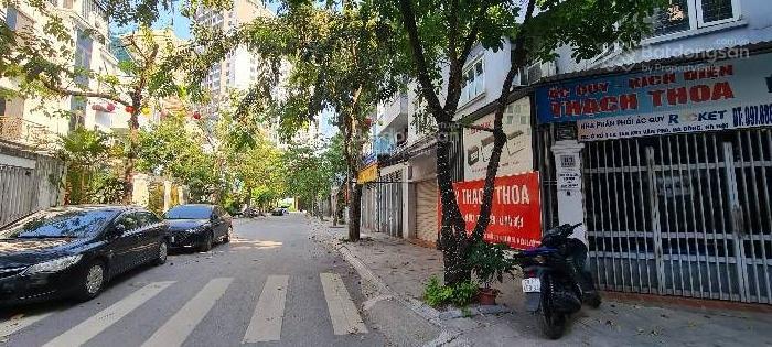 Bán biệt thự TIG Đại Mỗ, 22 tỷ VND, 110m2, 6PN, 4WC