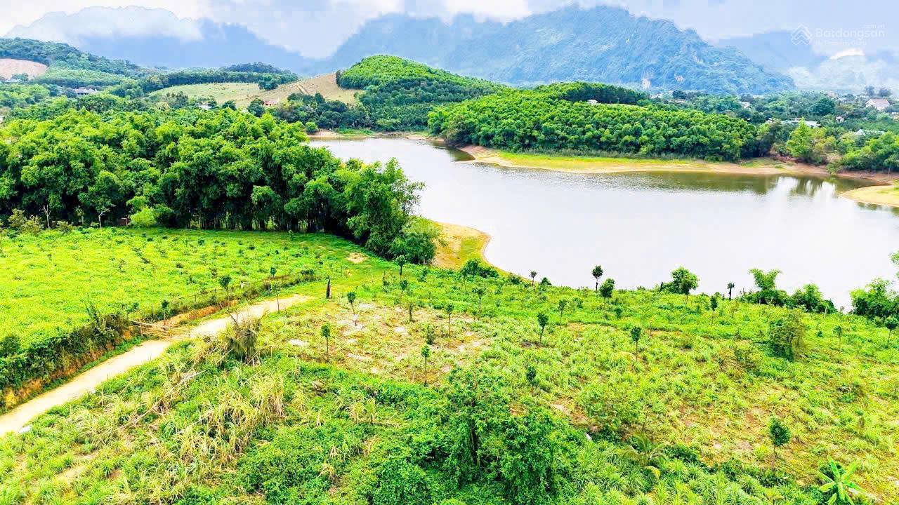 Bán siêu phẩm bám hồ tay chạm nước 4653m2, 400m2 đất ở, Lạc Thuỷ Hoà Bình cũ, 9 tỷ