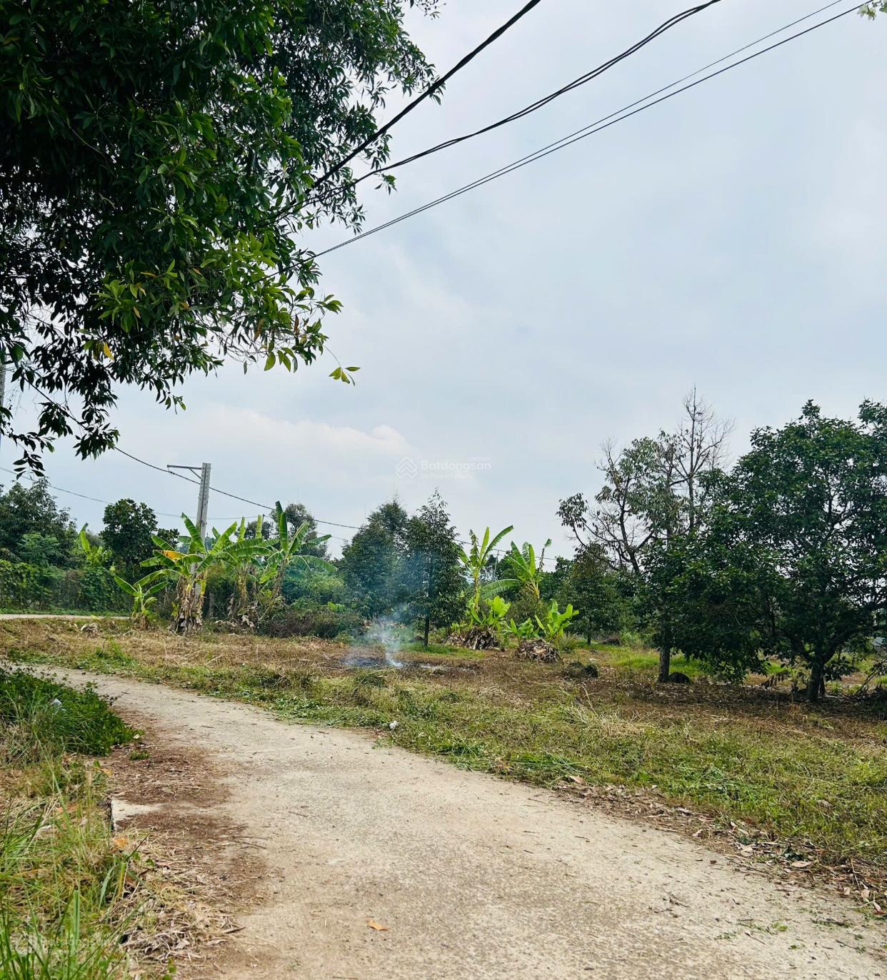 Bán 534m2, P. Xuân Lập, Đồng Nai, trên đất trồng SR giá đầu tư